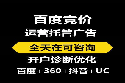 高效SEM托管服务：成功案例深度解析