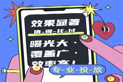 竞价市场中的端口开户策略案例